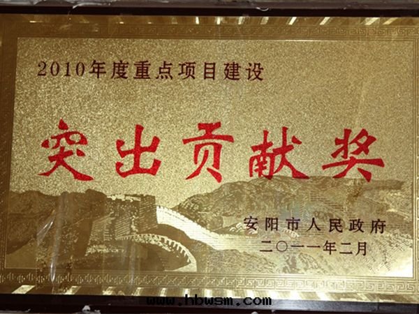 2010突出(chū)貢獻獎