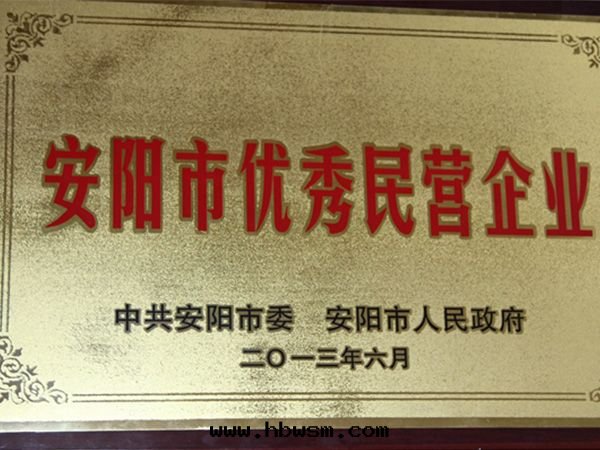 2013年(nián)安(ān)陽優 秀民营企業